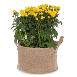 Natural Round Jute Handle Bag with Top Rim Wire - Med 9in