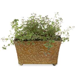 Xavier Large Vine Metal Container - Antique Gold 10in 